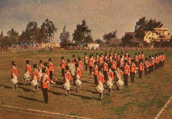 1LF Band  Fayid 1950495
